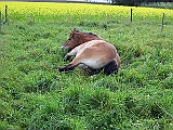 Bild 024